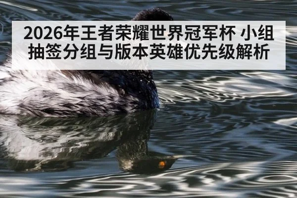 2026年王者荣耀世界冠军杯 小组抽签分组与版本英雄优先级解析