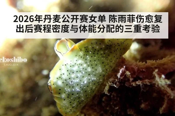 2026年丹麦公开赛女单 陈雨菲伤愈复出后赛程密度与体能分配的三重考验